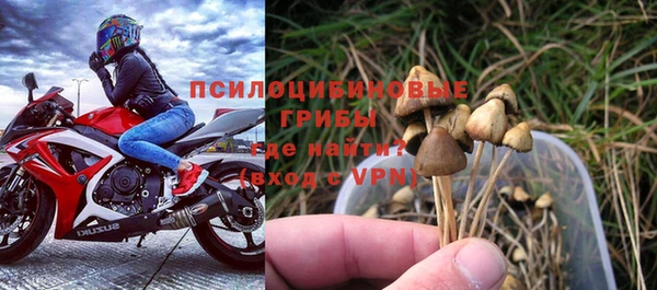 прущая мука Белокуриха