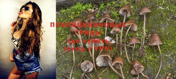 прущая мука Белокуриха