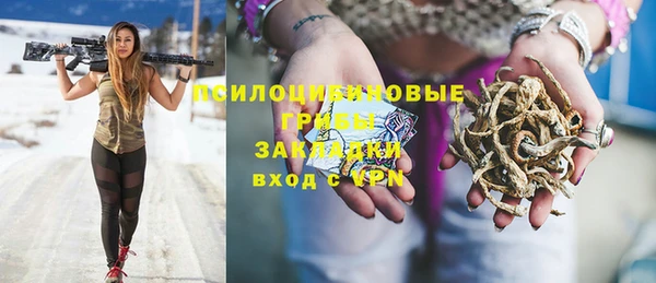 прущая мука Белокуриха